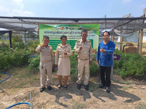 ดำเนินกิจกรรม ปลูกผักสวนครัว เป็นฐานการเรียนรู้อำเภออุทัย